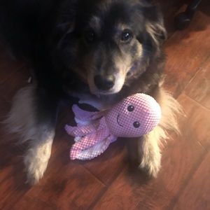 Meet your Posher, Laura